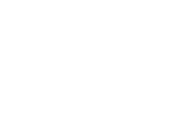 Wellositi